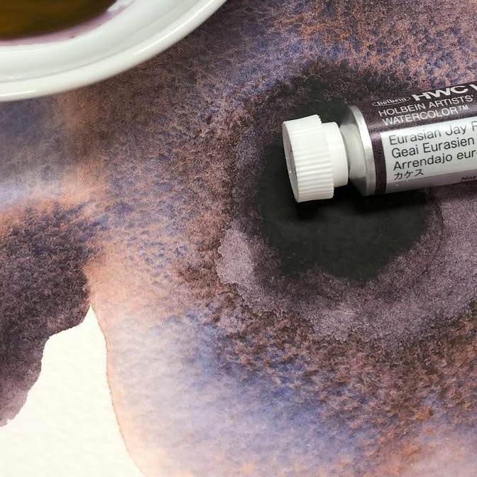 WG661 松鴨玫瑰灰