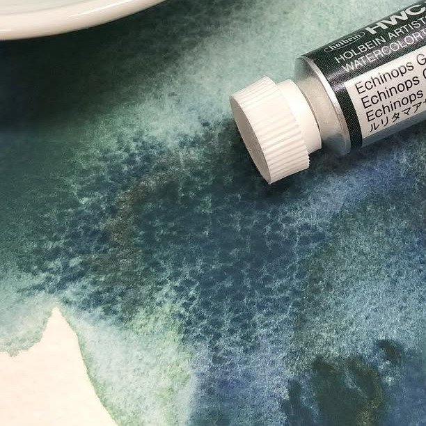 WG663 藍刺頭綠灰