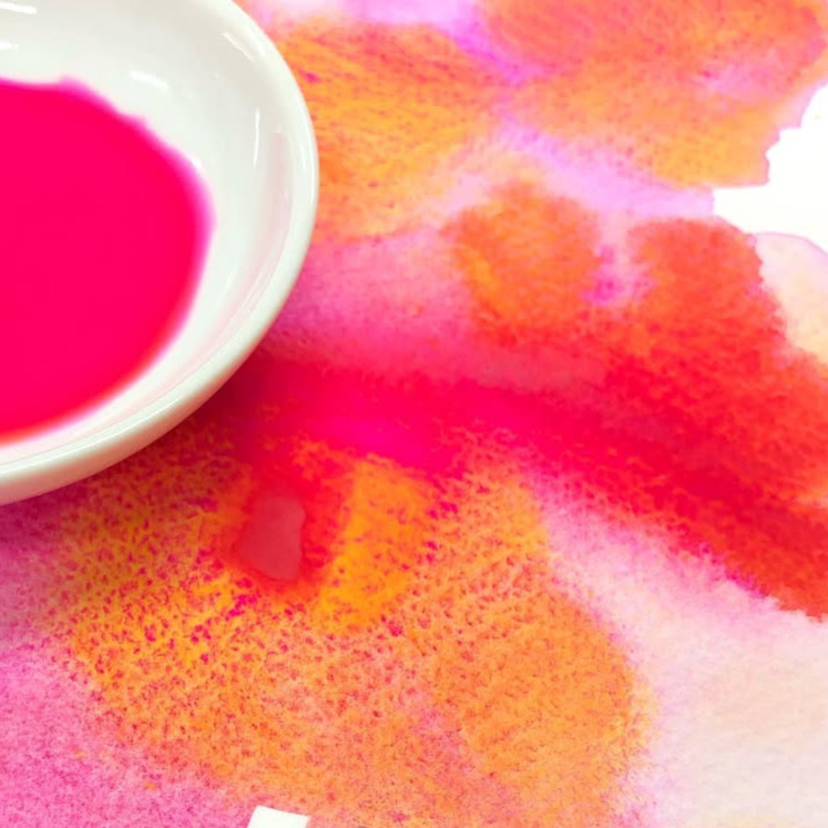 WG601 柏克氏鸚鵡粉紅