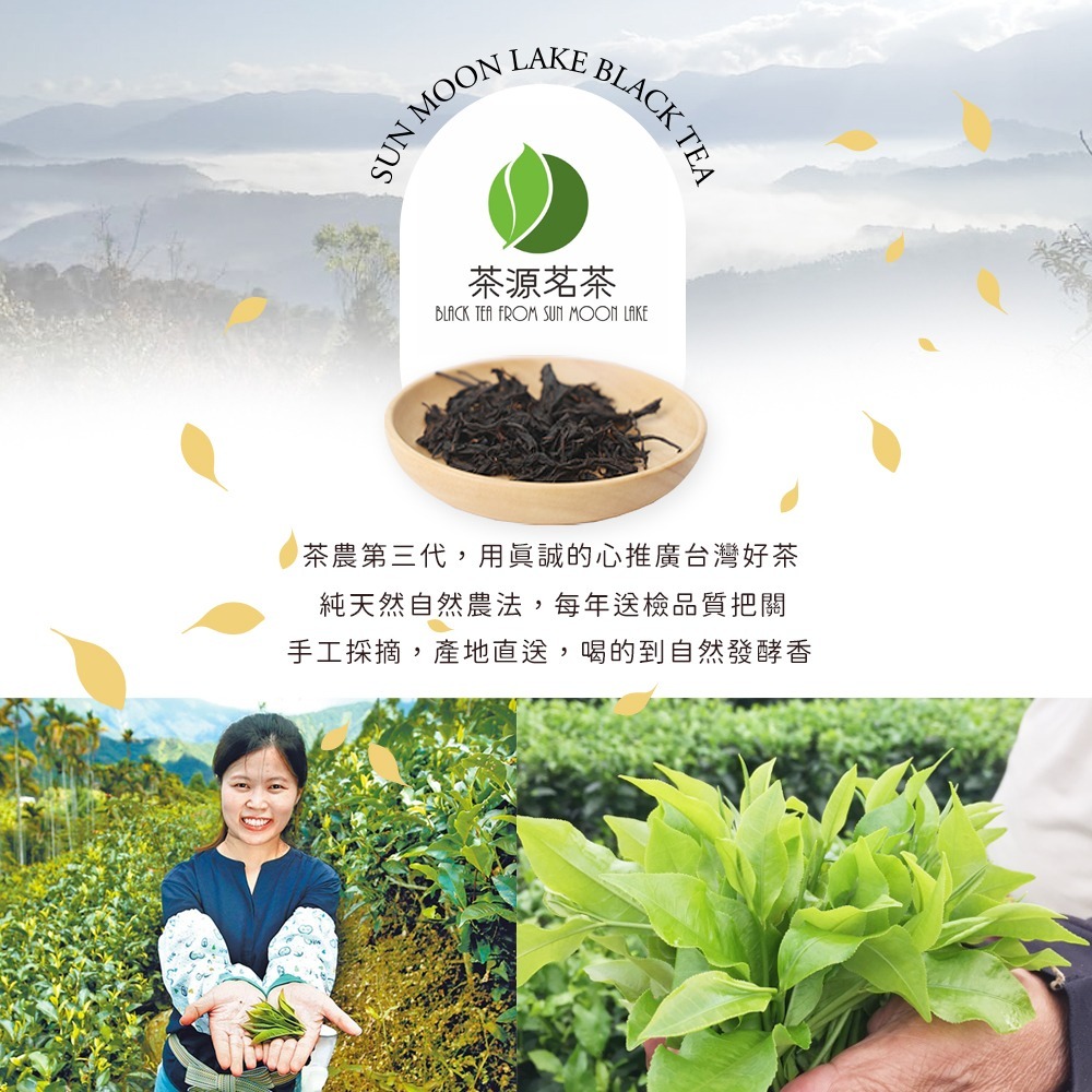 【茶源茗茶】日月潭紅韻紅茶 100g 手採一芯二葉嫰採 禮盒包裝-細節圖6