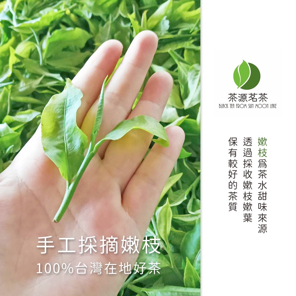 【茶源茗茶】日月潭紅韻紅茶 100g 手採一芯二葉嫰採 禮盒包裝-細節圖9