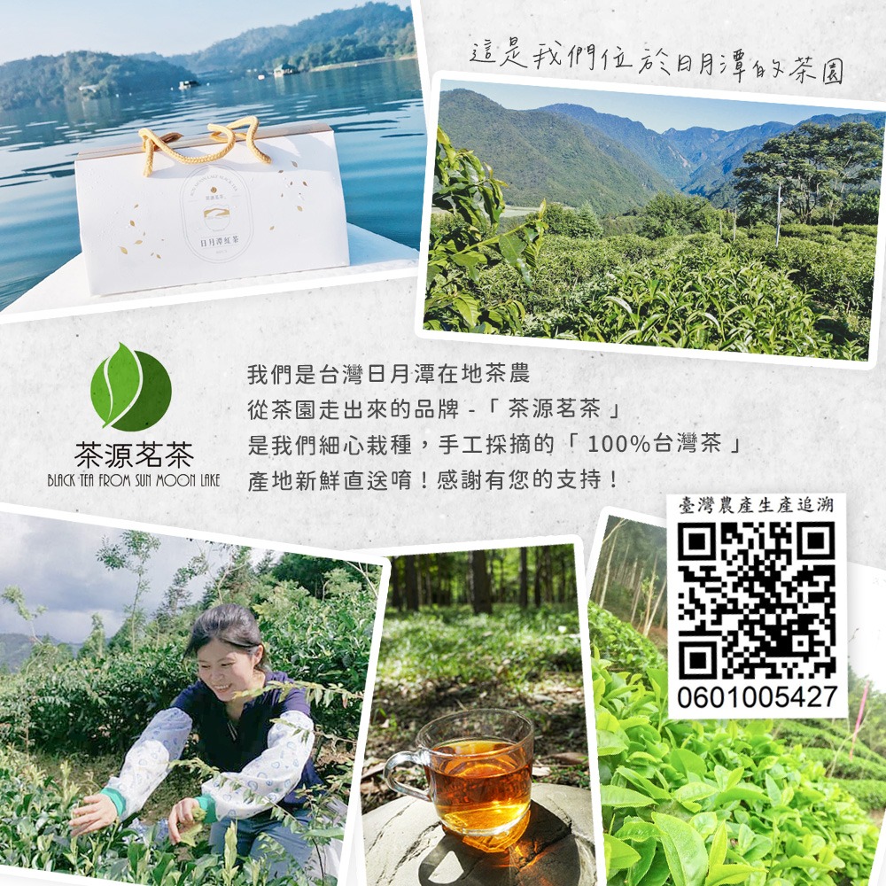 日月潭紅茶包 原生種山茶芽芯茶包 禮盒 30入 現貨產地直送 開立發票 茶源茗茶-細節圖6