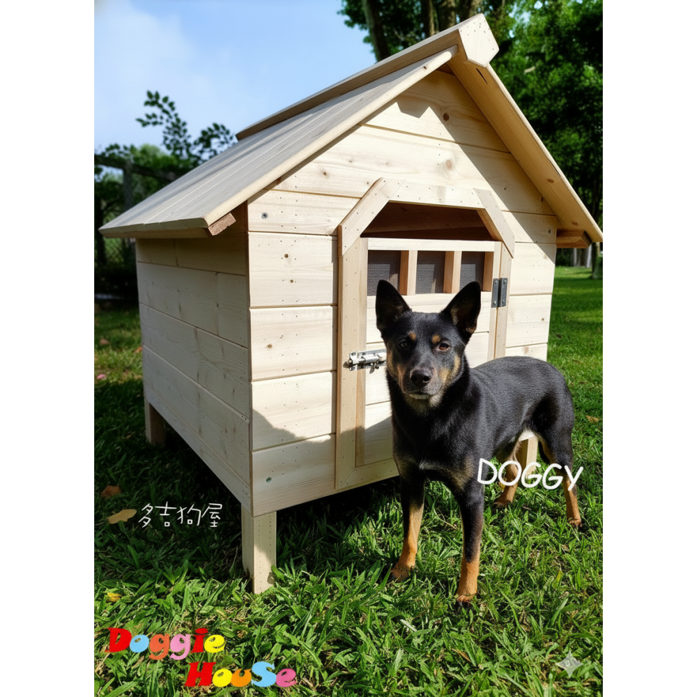🏡 [新改款] 特大型 XL號 防水原木狗屋 ｜ 樟子松實木籠 ｜ 適用拉拉 哈士奇 土狗 【多吉狗屋】-細節圖8