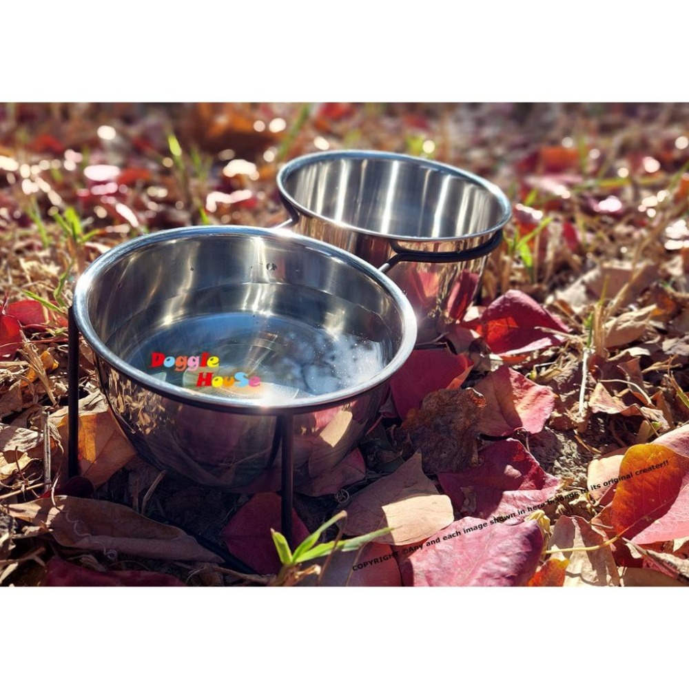 下殺出清！304不銹鋼雙碗 ｜ 加厚大容量食碗 貓狗通用飯盆 ｜ 寵物碗 特價 【多吉狗屋】-細節圖2