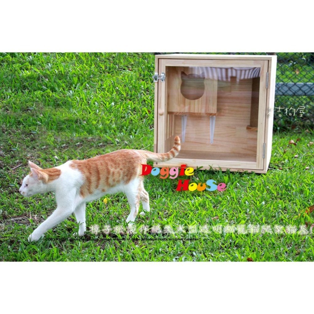 [🔥 特價中] 絕美透明貓籠 ｜ 大型樟子松貓爬架 實木貓屋 ｜ 貓狗通用 小狗適用 【多吉狗屋】-細節圖2