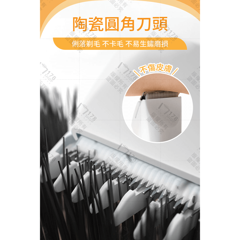 寵物剃毛組 贈11配件【178小舖】寵物剃毛器 寵物電剪 寵物剃腳毛器 寵物美容 寵物剃刀 寵物電剪 貓咪剃毛 貓 狗-細節圖5