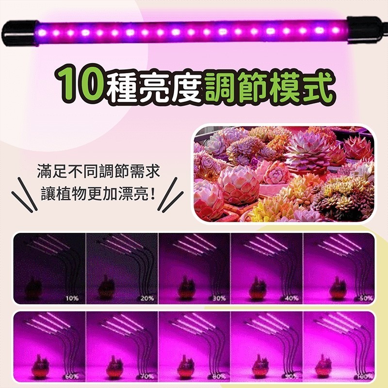 植物生長燈【178小舖】LED植物燈 植物燈 生長燈 多肉燈 紅藍燈 補光燈 花卉燈 水草燈 全光譜 夾燈 檯燈 燈條-細節圖6