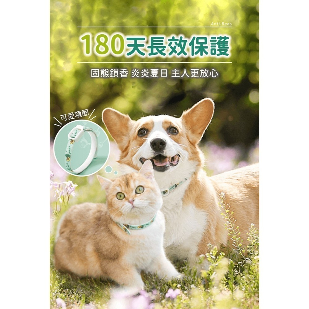 防跳蚤項圈 180天長效驅蟲【178小舖】跳蚤項圈 驅蟲項圈 跳蚤 貓防蚤項圈 寵物項圈 防蚤項圈 除蚤除蟲 除蚤項圈-細節圖7