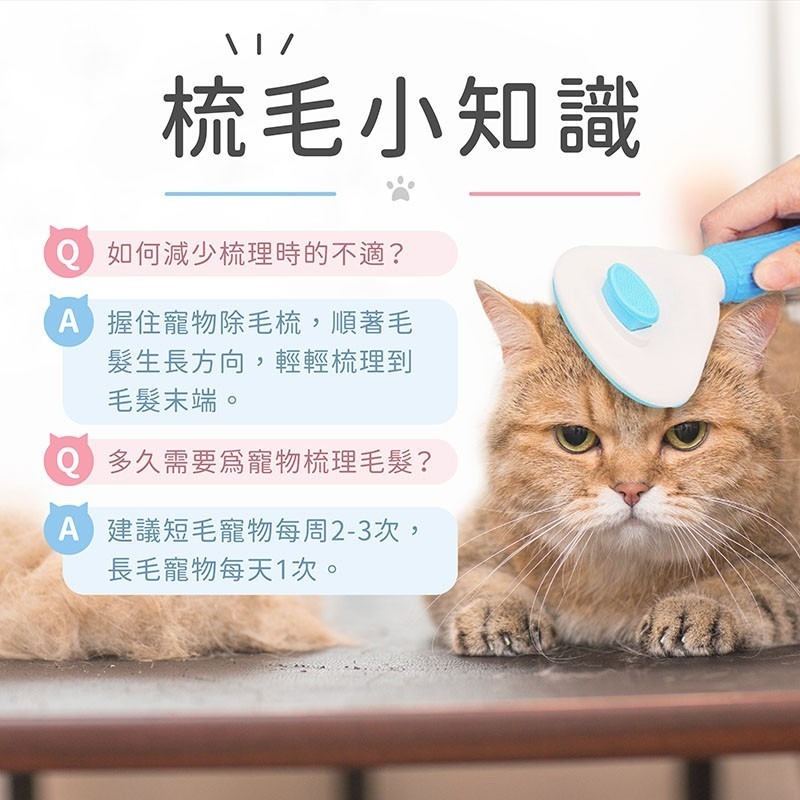 寵物除毛梳【178小舖】按摩梳 梳毛 寵物梳 寵物梳子 狗梳子 貓梳子 針梳 寵物用品 寵物梳毛器 除毛器 一鍵清毛器-細節圖9