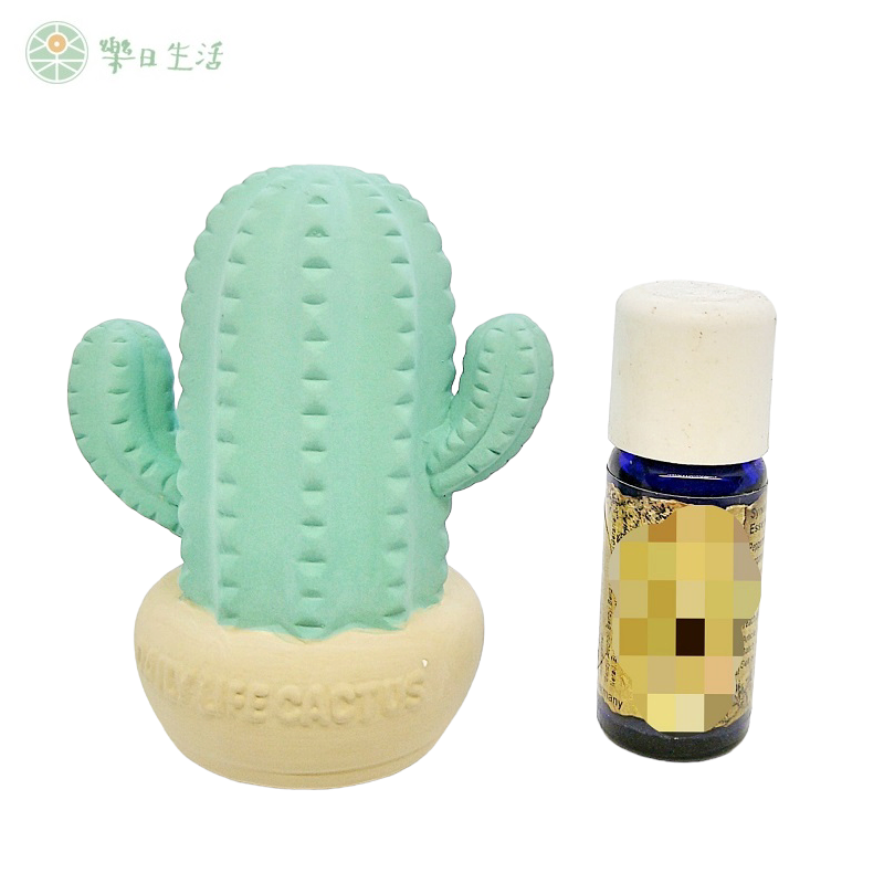 日本品牌DECOLE 仙人掌造型 芳香石 無電擴香瓶 香氛石 陶瓷-細節圖4
