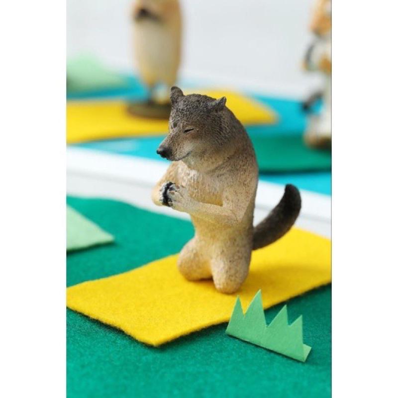 【快速出貨+附紙本發票】Non Souci  朝隈俊男 Animal Life 祈1  全新 研達-細節圖2