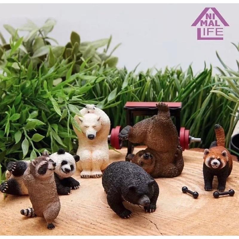 【快速出貨+附紙本發票】Non Souci  Animal Life 朝隈俊男 瞧你那熊樣  研達-細節圖2