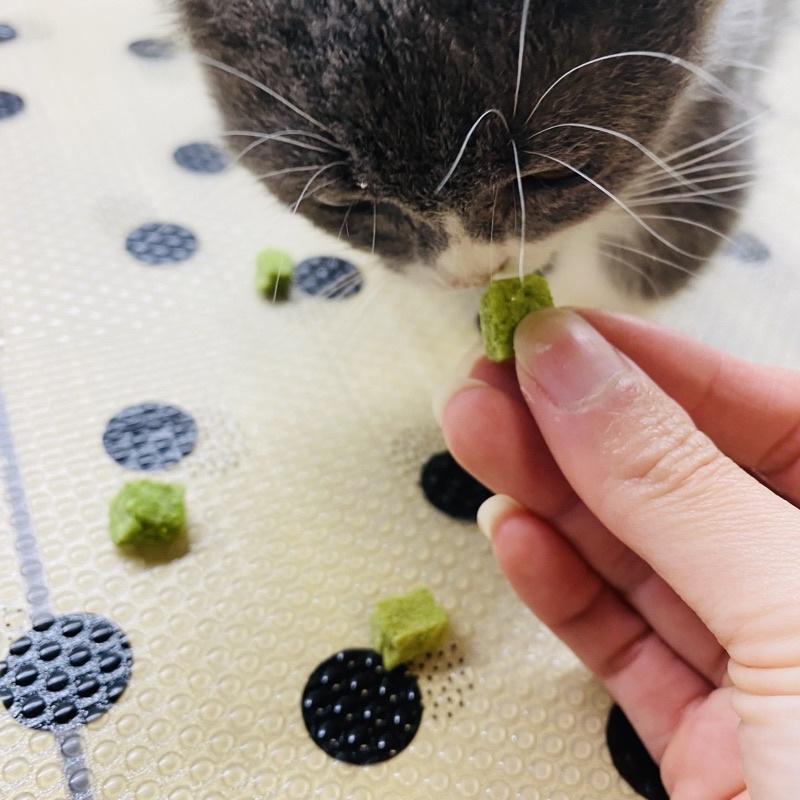【掉毛怪🚚 精選貓草雞肉粒】凍乾 天然手工零食 貓零食 狗零食 雞丁 寵物 凍乾 雞肉塊 冷凍乾燥 犒賞 獎勵-細節圖3