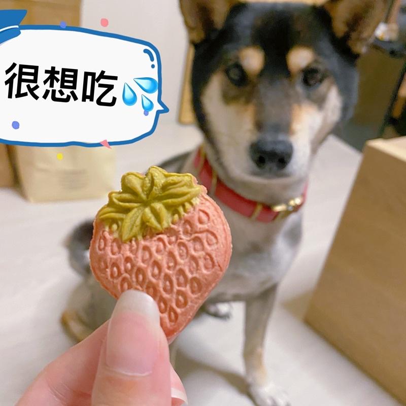 【掉毛怪🚚現貨 甜甜草莓兒-純肉基底系列】 高溫烘乾 手工零食 貓零食 狗零食 凍乾 雞丁 寵物 雞肉凍 犒賞 獎勵-細節圖4