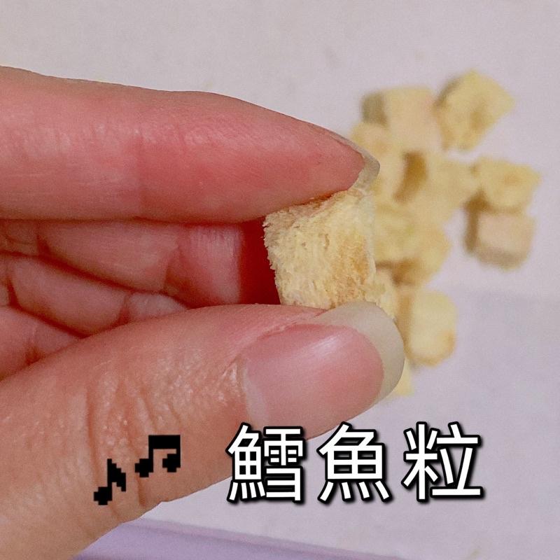 【掉毛怪🚚鱈魚粒 手撕鱈魚】海鮮 凍乾 天然手工 老鼠 兔子 貓零食 狗零食 凍乾 雞丁 寵物 凍乾 雞肉凍 鱈魚 老鼠-細節圖4