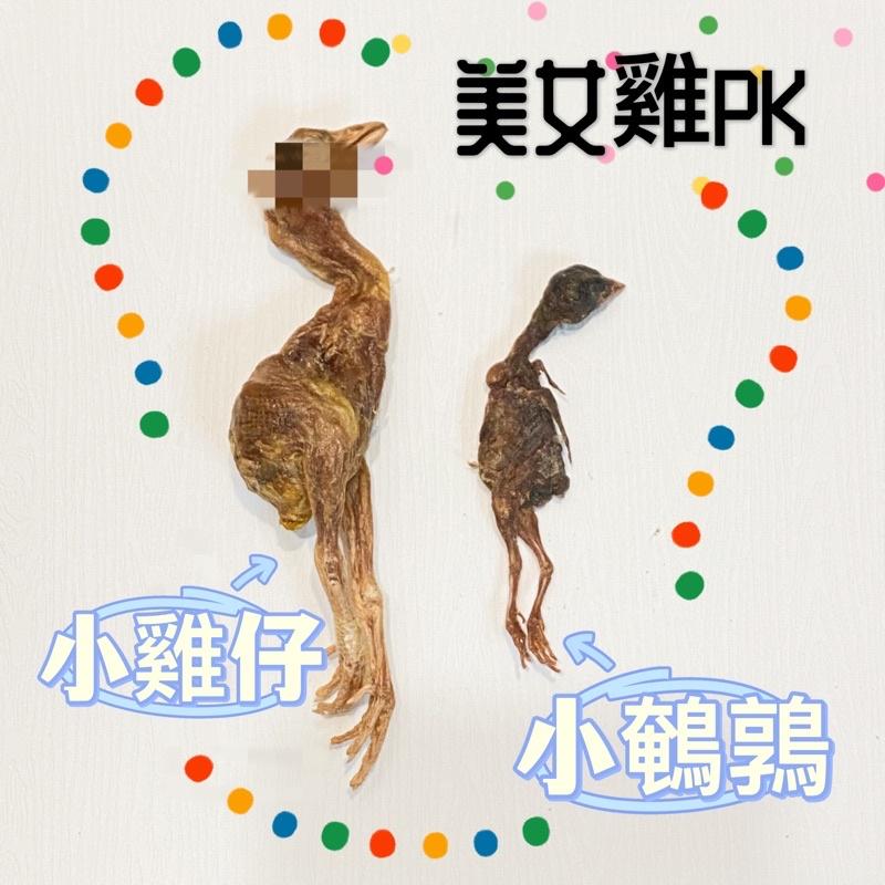 【掉毛怪🚚小鵪鶉 凍乾】 手工凍乾 天然手工零食 貓零食 狗零食 凍乾 雞丁 寵物 雞肉粒 鴨肉 鵪鶉 蛋黃 牛肉粒-細節圖2