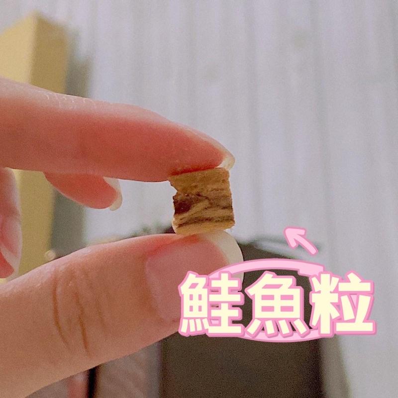 【掉毛怪🚚鮭魚系列】海鮮 三文魚 鮪魚 吞拿魚 金槍魚 伴糧好物 專治挑嘴病 天然手工零食 貓零食 狗零食 凍乾-細節圖4