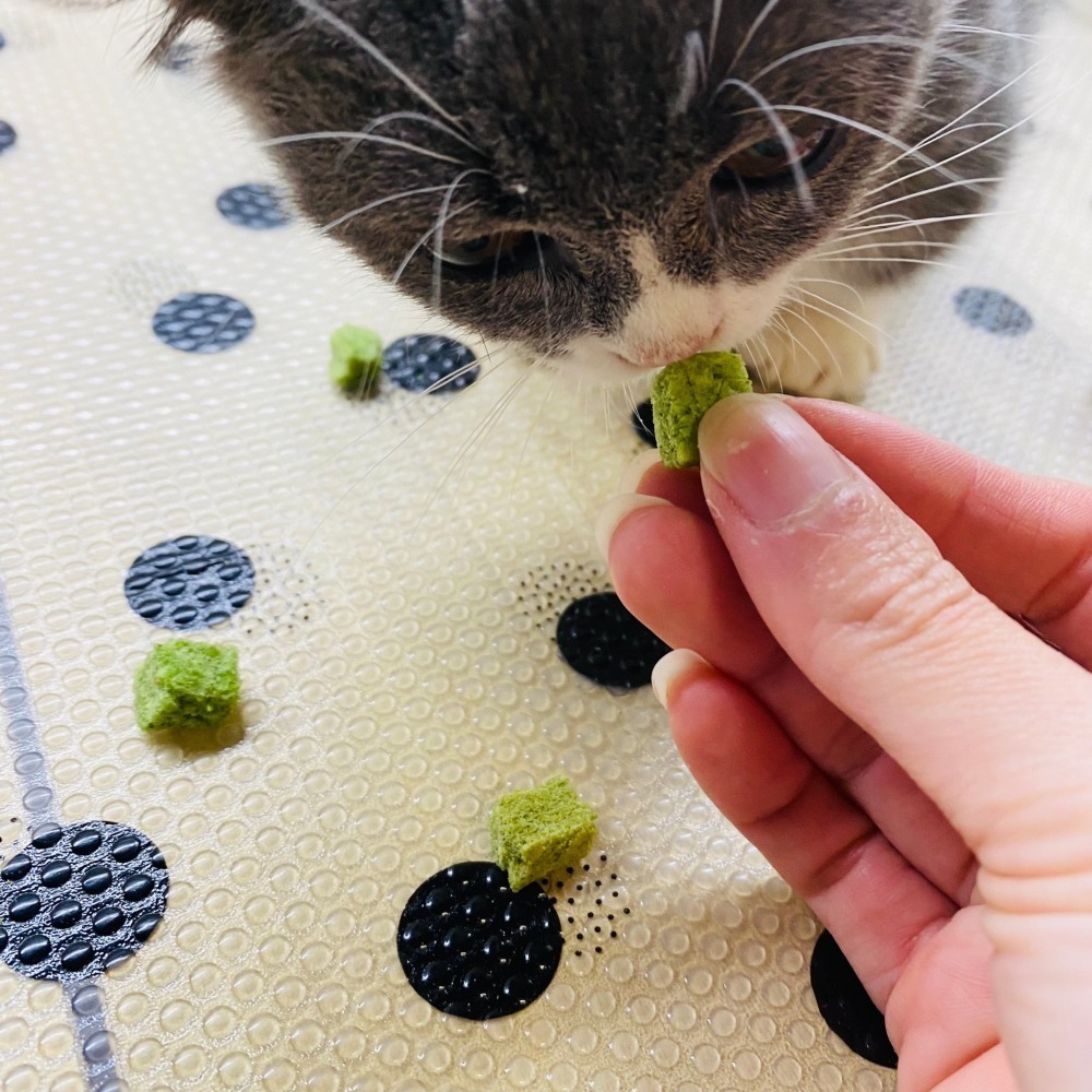 【掉毛怪🚚 精選貓草雞肉粒】熱銷 凍乾 天然手工零食 貓零食 狗零食 雞丁 寵物 凍乾 雞肉塊 冷凍乾燥 犒賞 獎勵-細節圖3