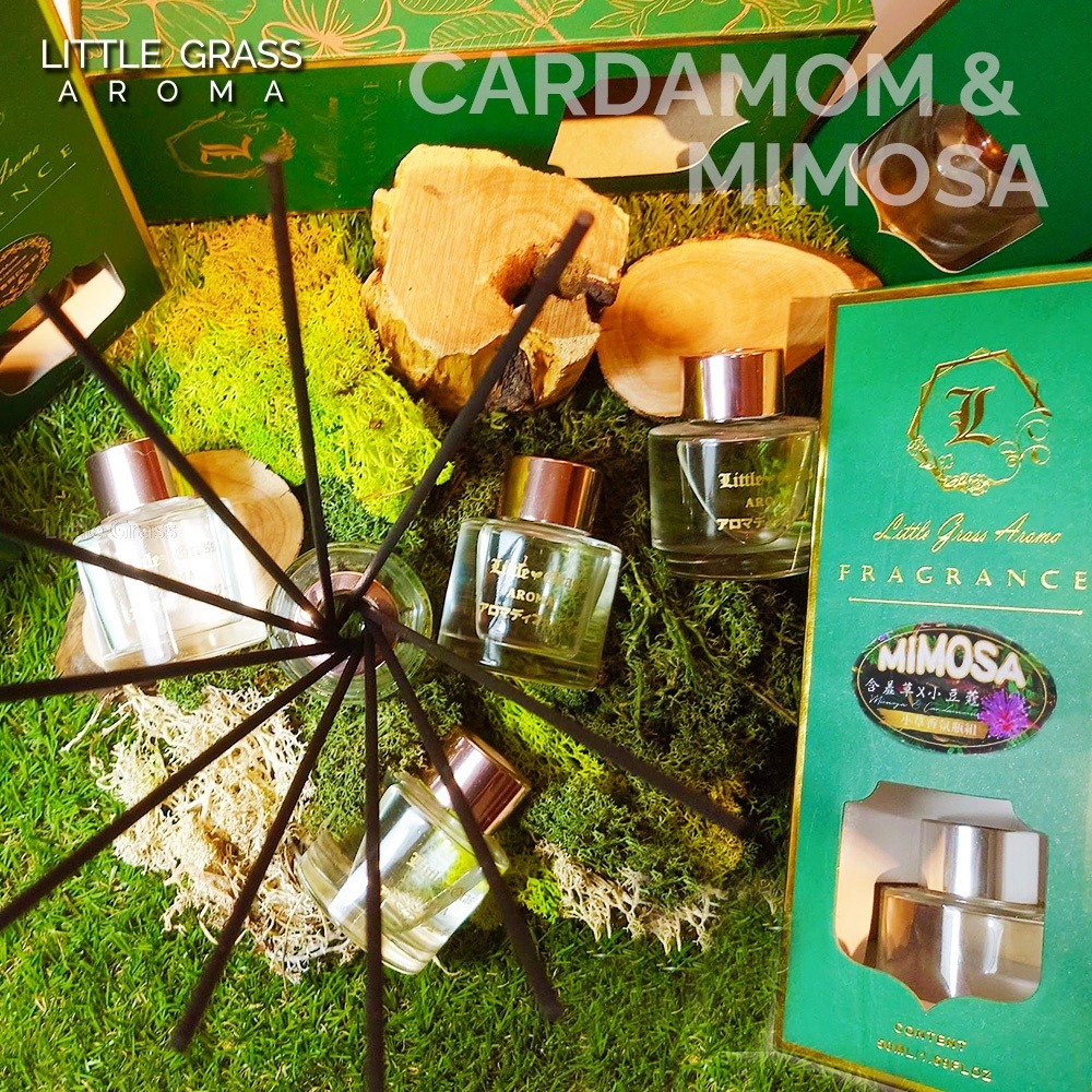 Little Grass Mimosa 含羞草香氛瓶-細節圖3