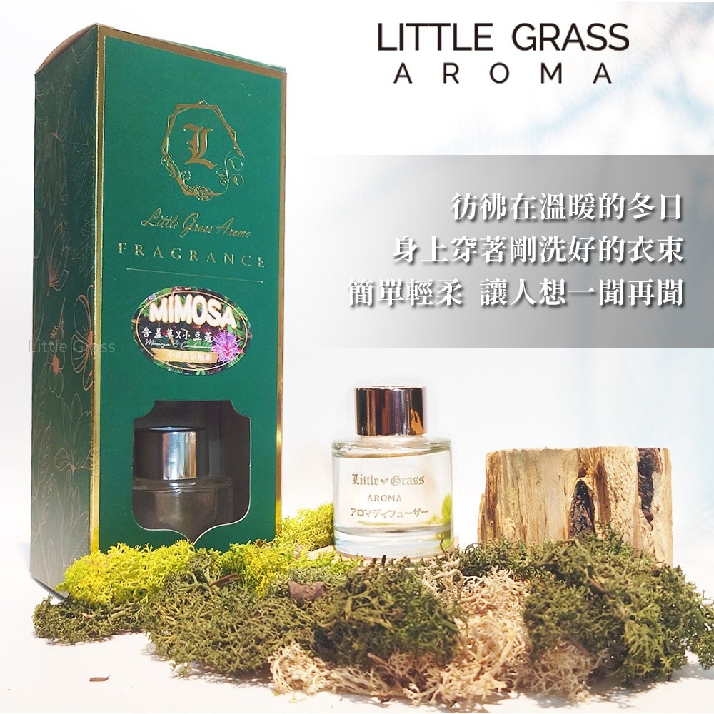 Little Grass Mimosa 含羞草香氛瓶-細節圖5