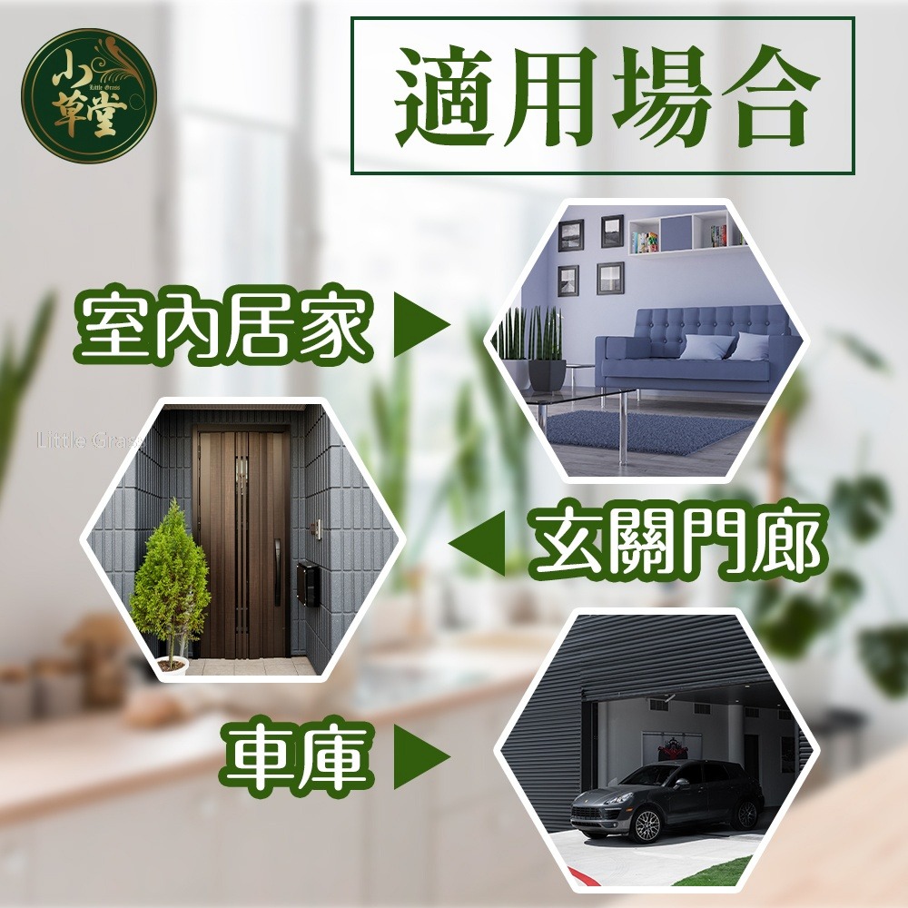 小草堂 香茅香氛瓶-細節圖6