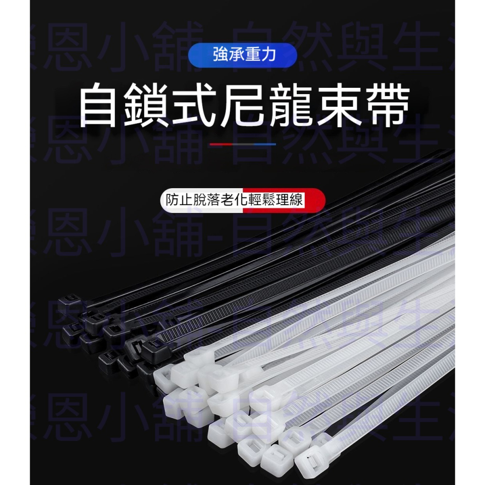 束帶 扎帶 100入 綑綁帶 埋線帶 自鎖束帶 綁帶 整理帶-細節圖2