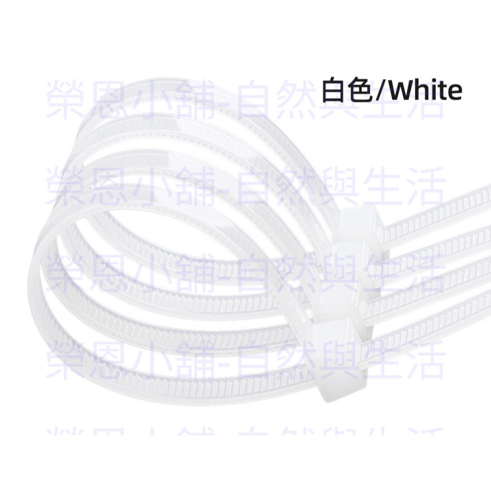 束帶 扎帶 100入 綑綁帶 埋線帶 自鎖束帶 綁帶 整理帶-細節圖3