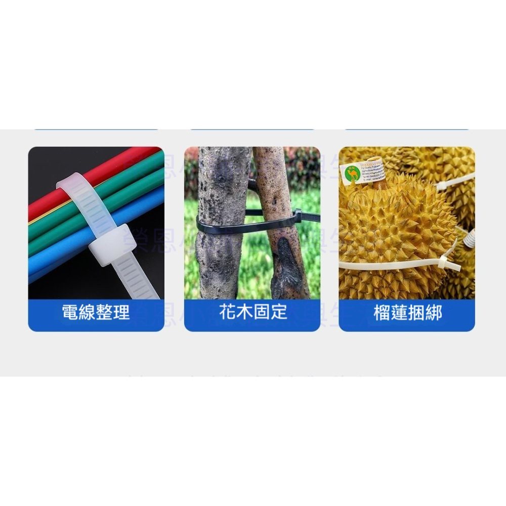 束帶 扎帶 100入 綑綁帶 埋線帶 自鎖束帶 綁帶 整理帶-細節圖4