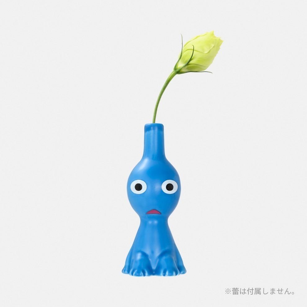 藍皮