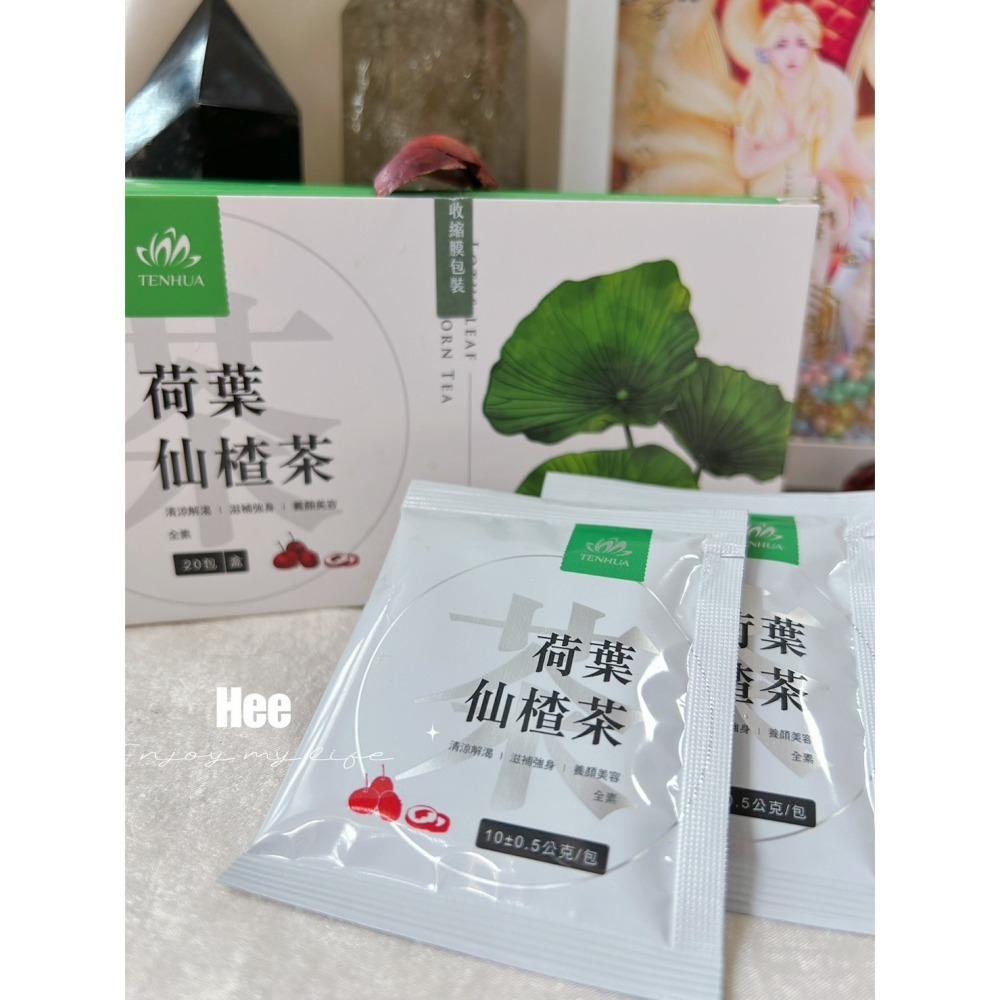 【天華生技】荷葉仙楂茶🍵小孩最愛 生津止渴 消暑 退火 小孩最愛-細節圖2