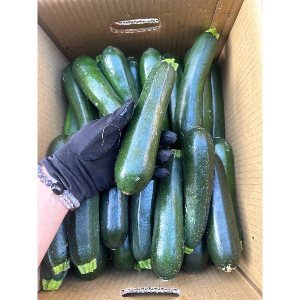 《第一饗》客訂-細節圖2