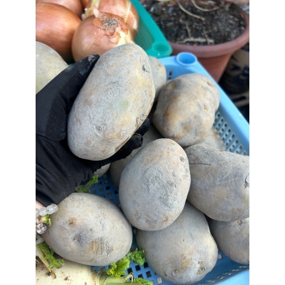 《第一饗》客訂-細節圖4