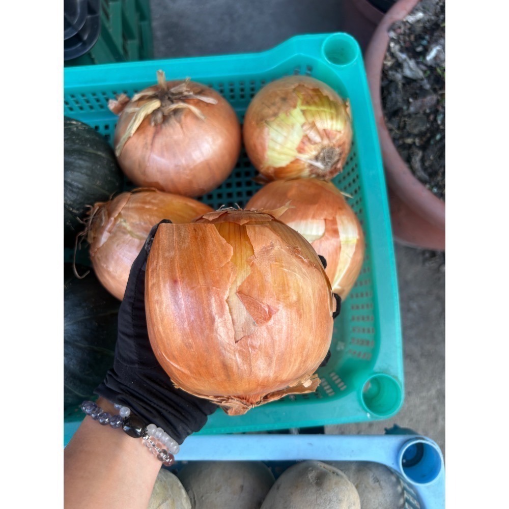 《第一饗》客訂-細節圖5