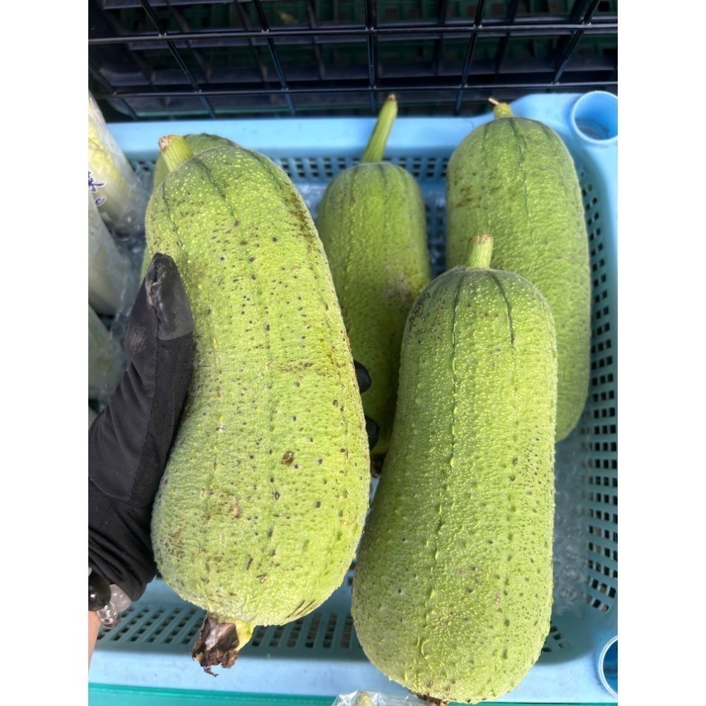 《第一饗》客訂-細節圖7