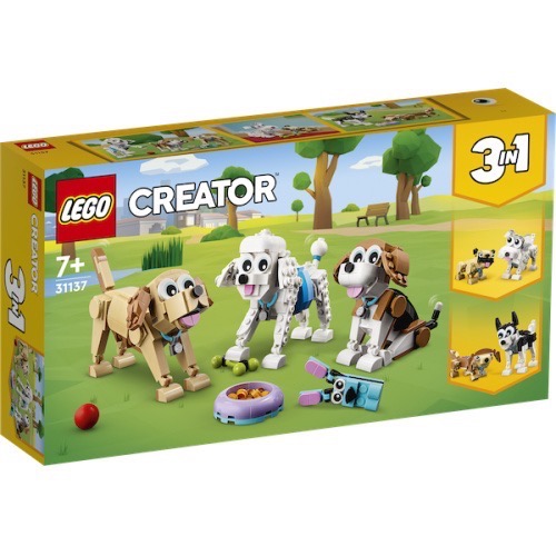 ||一直玩|| LEGO 31137 可愛狗狗