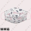 【水舞生醫 平面成人醫用口罩】醫療口罩 醫用 平面口罩 成人 台灣製造 雙鋼印 暈染花卉 綠野平疇 法式碎花-規格圖1