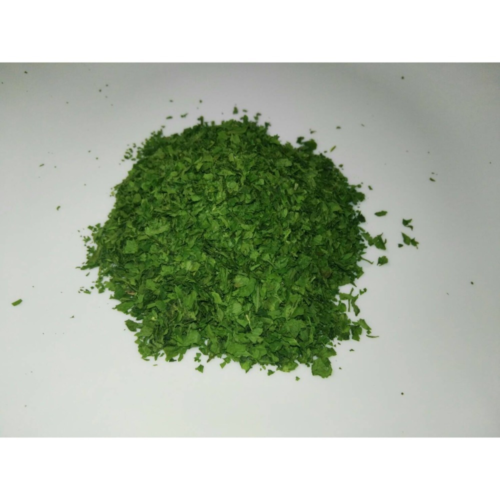 ｛香料櫥櫃｝10g裝 洋香菜 paraly 產地:德國 吉海辛香料 香料未滿200元不出貨-規格圖1