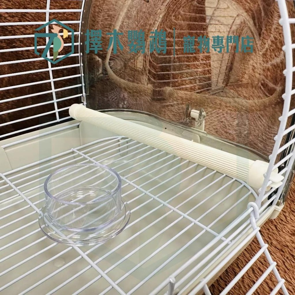 🦜擇木鸚鵡｜(小)水晶外出籠(多色)｜鸚鵡外出籠、小寵外出籠、鳥外出籠、透明外出籠、倉鼠外出籠-細節圖3