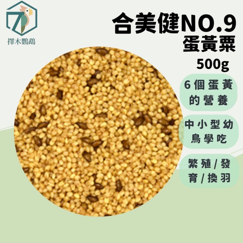 台灣實體🦜擇木鸚鵡｜合美健 NO.9蛋黃粟 500g｜鳥飼料/鳥小米/鸚鵡飼料/鳥食/虎皮飼料/雀鳥飼料/愛情鳥飼料-細節圖2