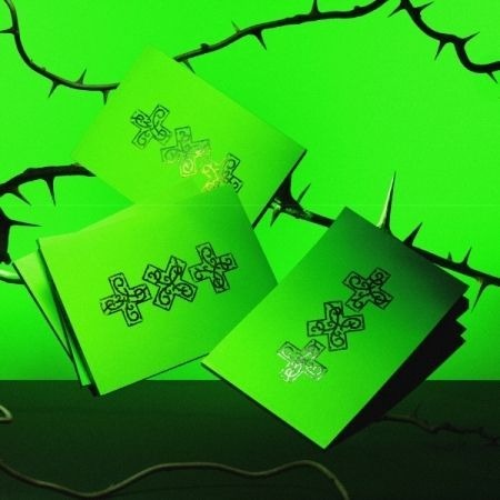 TXT - 迷你八專 [7TH YEAR: A MOMENT OF STILLNESS IN THE THORNS]-細節圖2