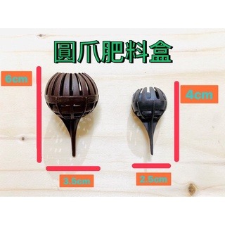 《揪匠JOY WOOD 》 居家小物/療癒植物/鹿角蕨/拆側芽 /松木板/ 上板/ 原木 /碳化木 /圓爪肥料盒-細節圖2