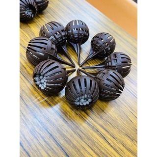 《揪匠JOY WOOD 》 居家小物/療癒植物/鹿角蕨/拆側芽 /松木板/ 上板/ 原木 /碳化木 /圓爪肥料盒-細節圖4