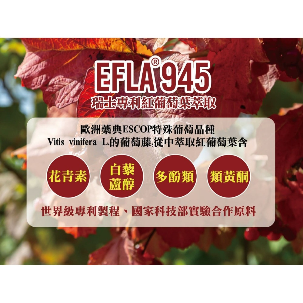 蒜來青春錠 (發酵黑蒜＆穀胱甘肽) Garlic Youth  60錠／瓶-細節圖7