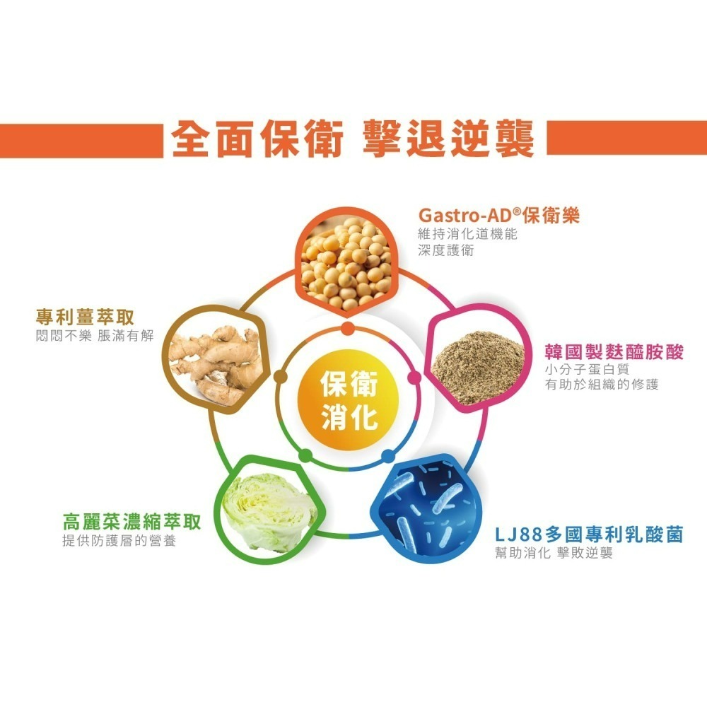 為你好 保衛益菌粉末食品 Gastro Probiotic Formula Dietary Supplement-細節圖3