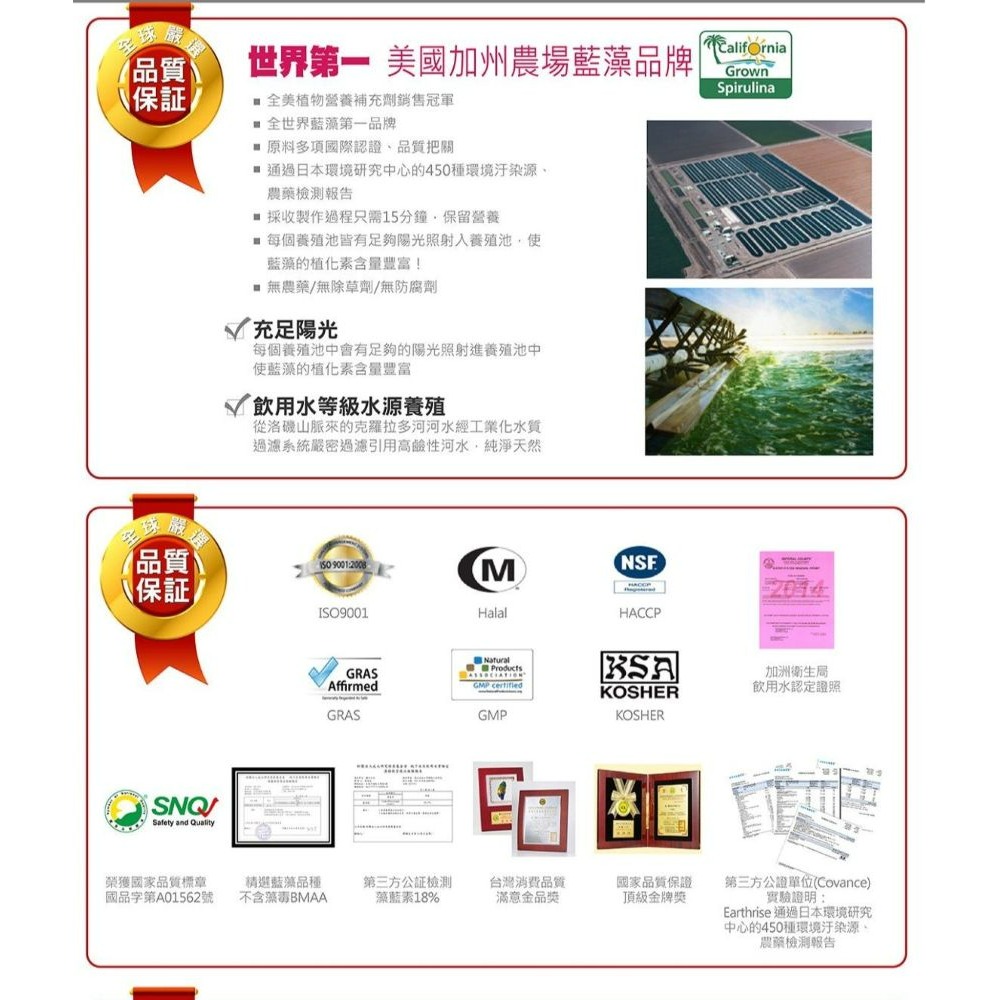 活力藍藻錠PLUS(750錠) DLC Spirulina PLUS-細節圖5