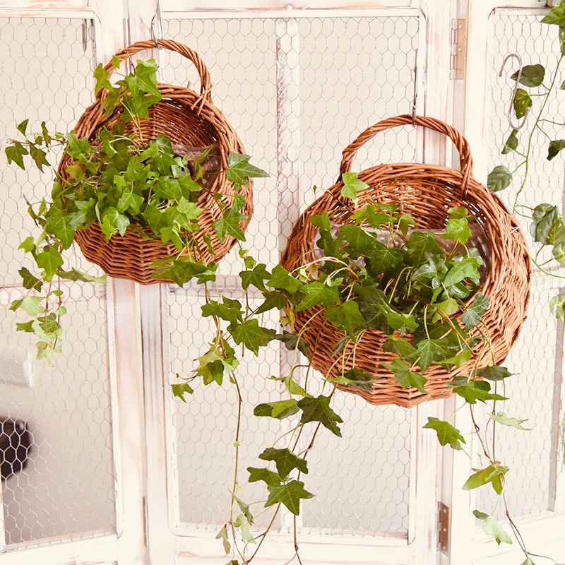 有感選物❤︎台灣現貨 藤編壁掛花籃 植栽花籃 牆壁裝飾-細節圖2