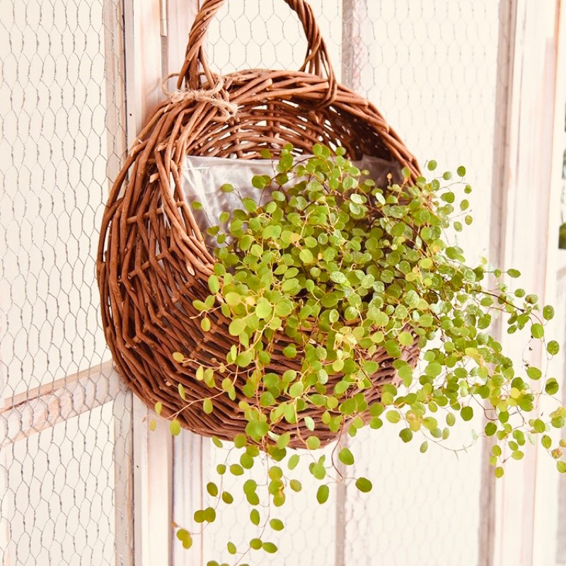 有感選物❤︎台灣現貨 藤編壁掛花籃 植栽花籃 牆壁裝飾-細節圖3