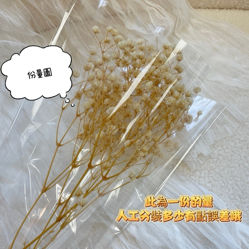 ❤︎台灣現貨❤︎天然乾燥花滿天星 永生花 送禮花束 畢業花束 生日禮物居家擺設「有感選物」-細節圖4