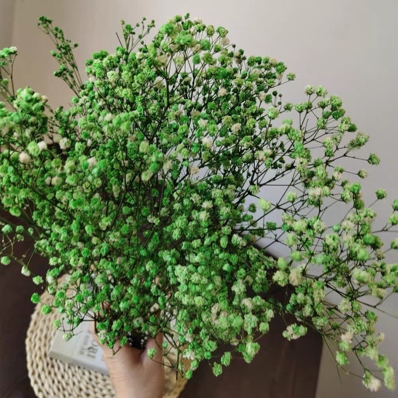 ❤︎台灣現貨❤︎天然乾燥花滿天星 永生花 送禮花束 畢業花束 生日禮物居家擺設「有感選物」-細節圖8