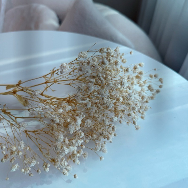 ❤︎台灣現貨❤︎天然乾燥花滿天星 永生花 送禮花束 畢業花束 生日禮物居家擺設「有感選物」-規格圖9